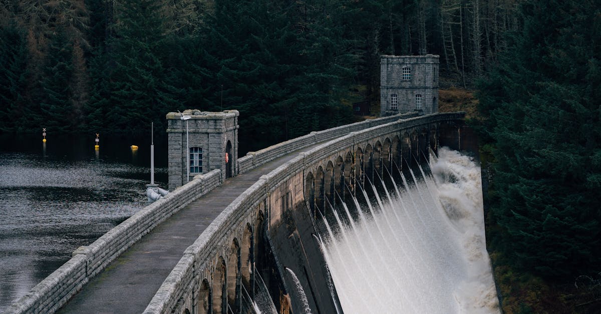 Ressources naturelles : enjeux et solutions pour un développement durable