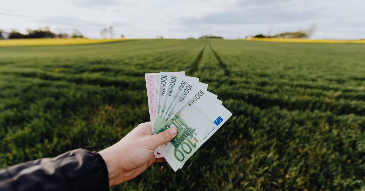 Financement vert : Comment les entreprises peuvent investir dans une économie durable