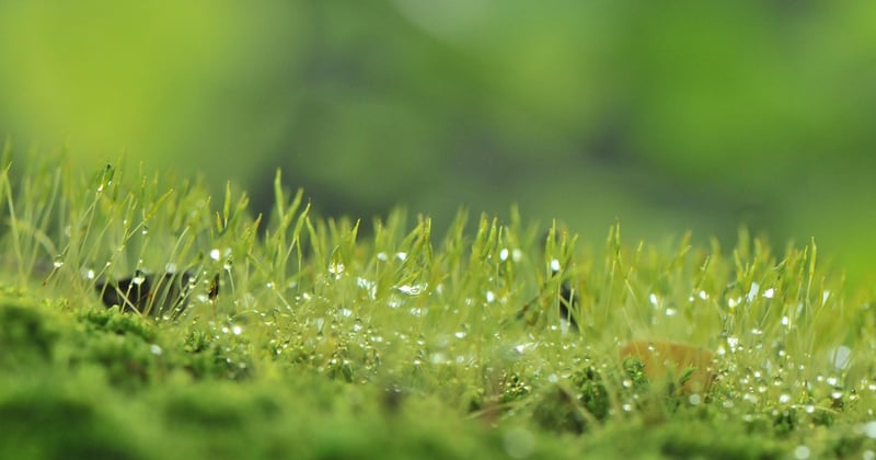 Solutions durables pour climatiser les logements sociaux