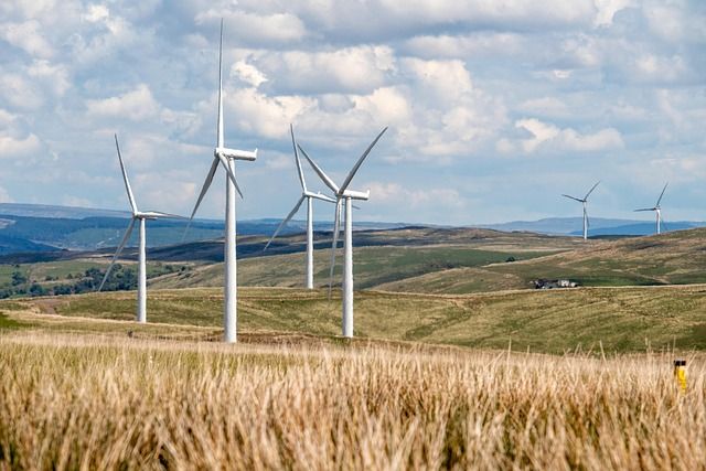 Agriculture durable : les techniques qui préservent notre environnement