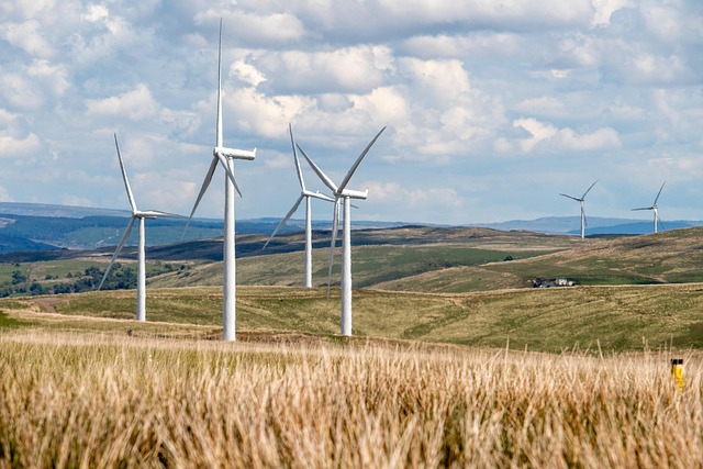 Agriculture durable : les techniques qui préservent notre environnement