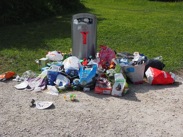 Réduction des déchets : les meilleures pratiques à adopter chez soi