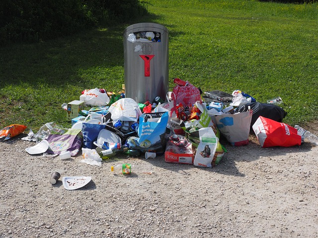 Réduction des déchets : les meilleures pratiques à adopter chez soi