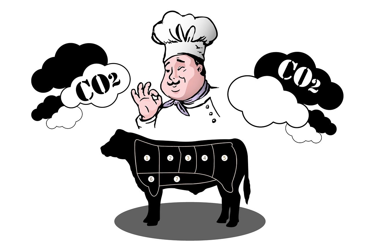 Comment le bilan carbone influence-t-il l’image de marque ?
