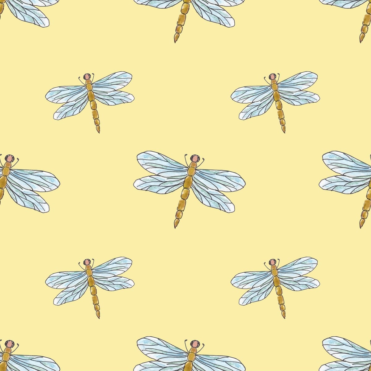 Okaïdi et Obaïbi : Une initiative de consigne textile pour diminuer leur empreinte carbone