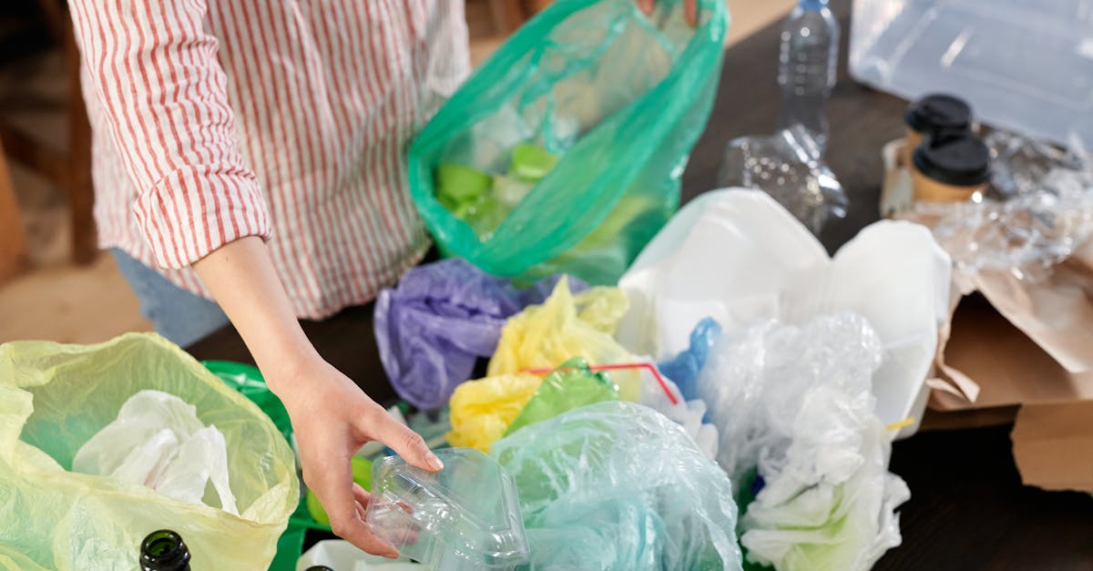 Économie circulaire : comprendre ses enjeux pour un développement durable