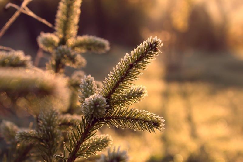 Comment intégrer l’écologie dans son entreprise pour 2023 ?