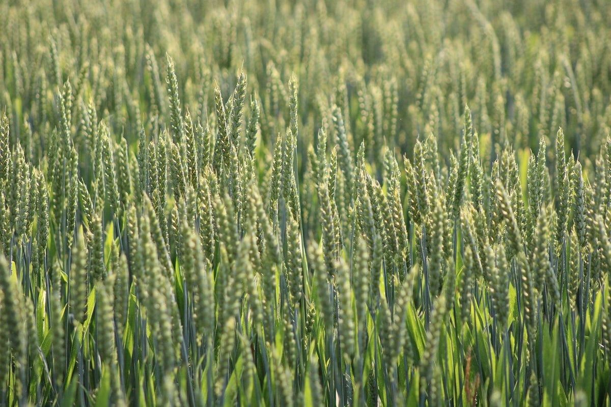 Mode éthique durable : comprendre l’impact réel de vos choix vestimentaires