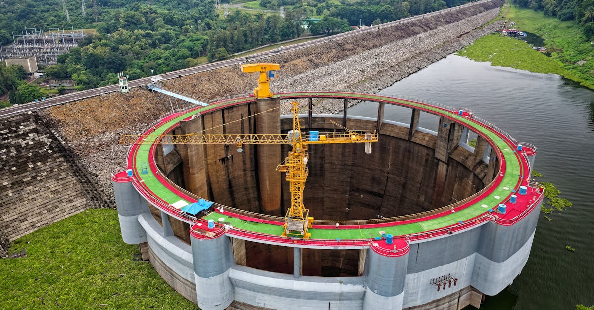 Infrastructures vertes : un atout pour la durabilité urbaine