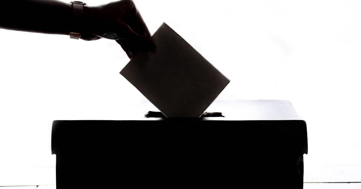 Civic engagement : comment s’impliquer activement dans sa communauté