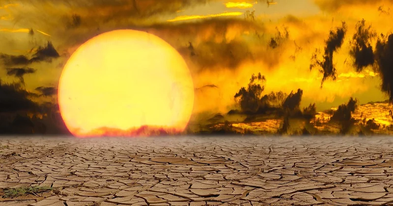 Plan canicule école : ce que prévoit le cadre, et ce qui manque