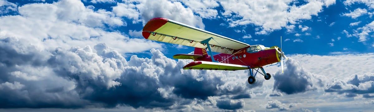 Centre d’Étude sur l’Aviation Écologique