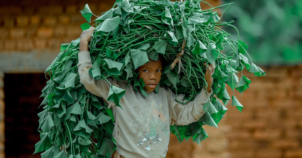 Agriculture durable : Les pratiques essentielles pour un avenir respectueux de l’environnement