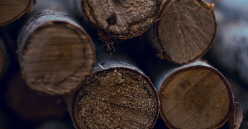 Biocarburants : une alternative écologique pour un avenir durable