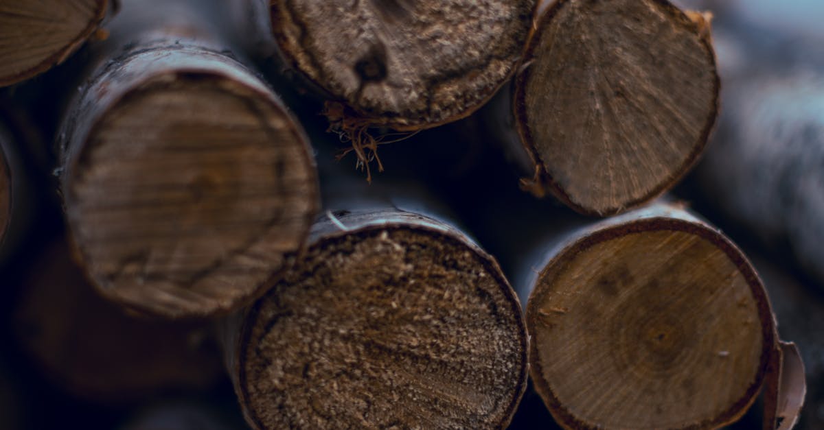 Biocarburants : une alternative écologique pour un avenir durable