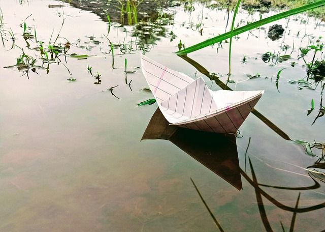 Récupération d’eau de pluie : un geste simple pour économiser