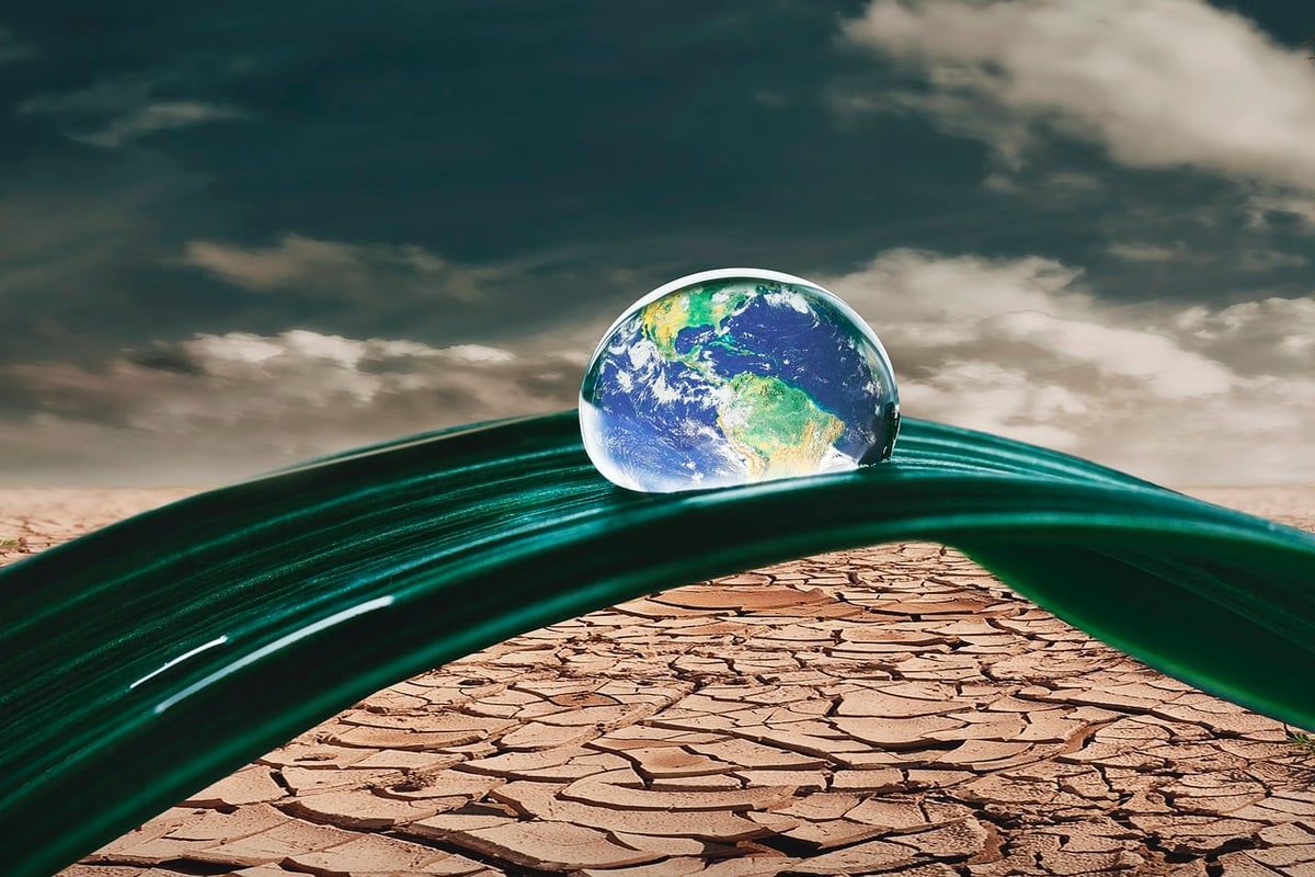 Les impacts des changements climatiques sur le bilan carbone mondial