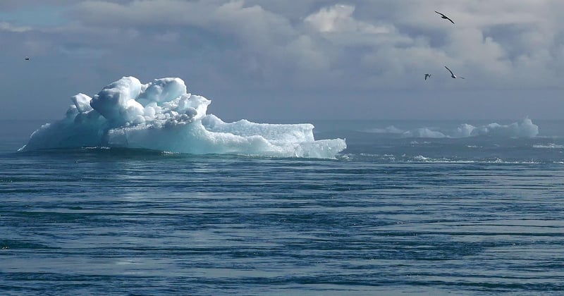Impact du changement climatique sur la santé mentale : un mal invisible