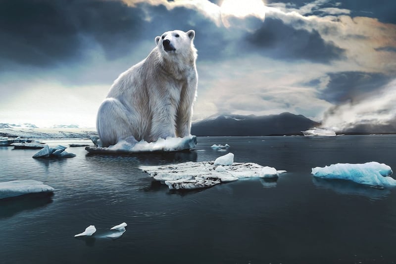 Changements climatiques : quelles actions collectives pour agir ?