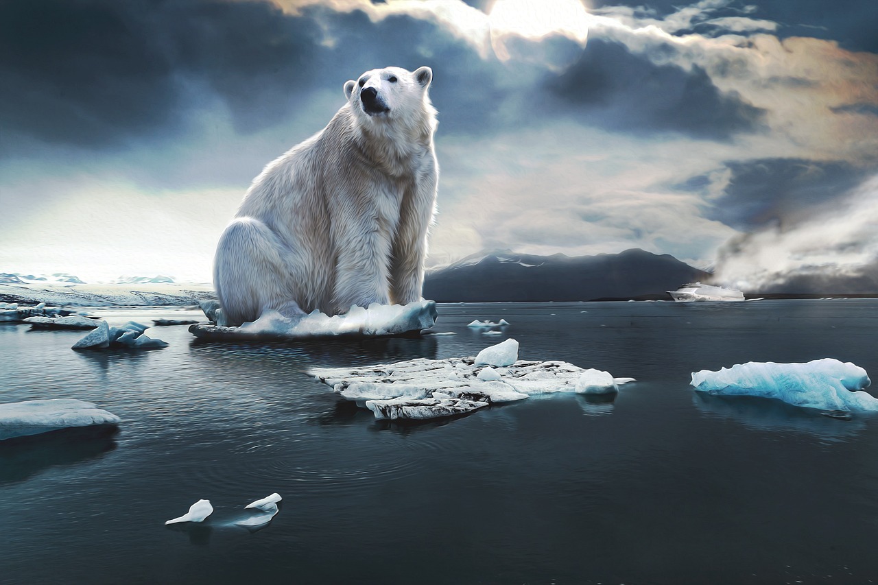Changements climatiques : quelles actions collectives pour agir ?