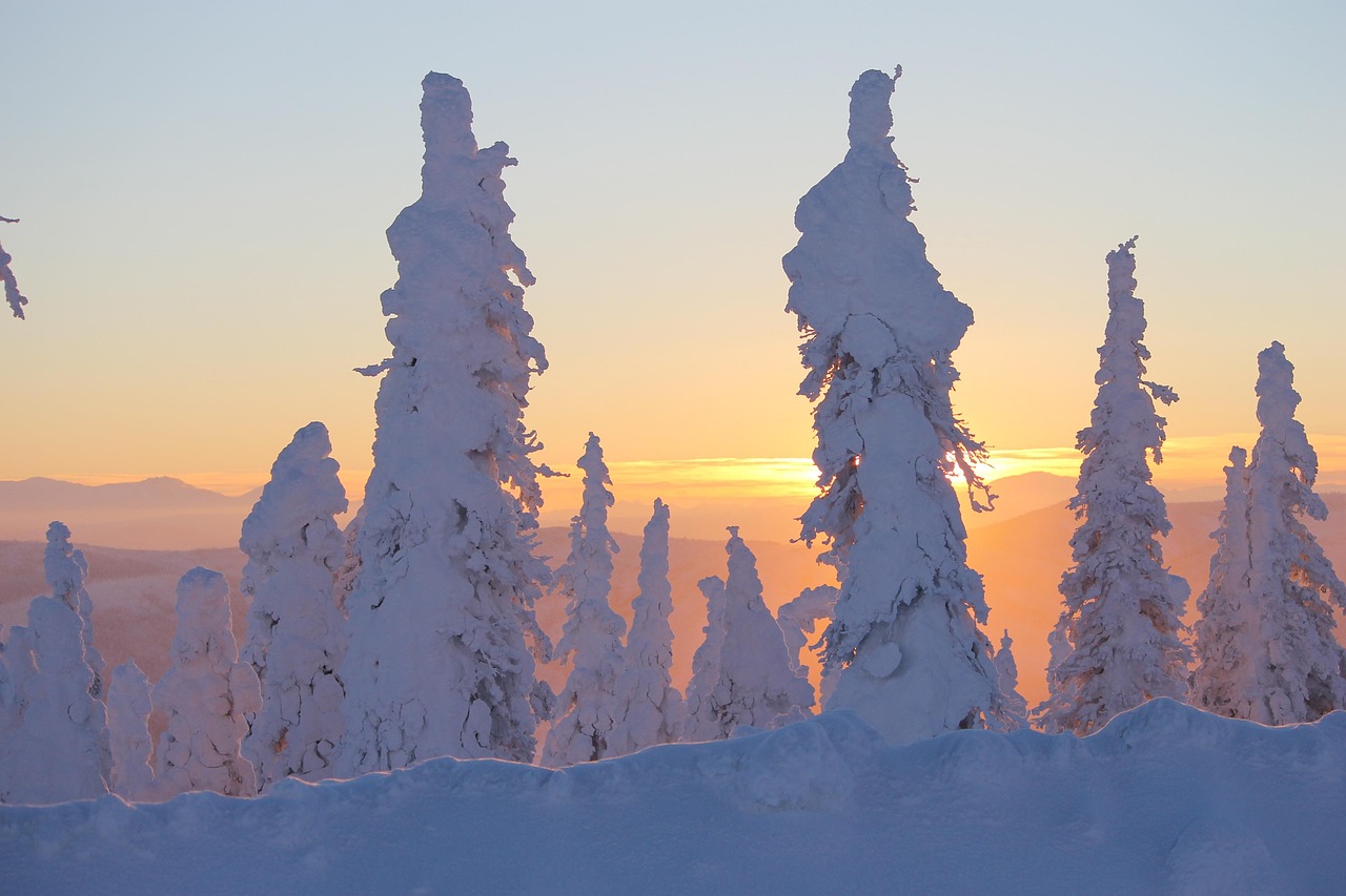La dégradation du permafrost : défis d’adaptation et impacts sur les communautés locales