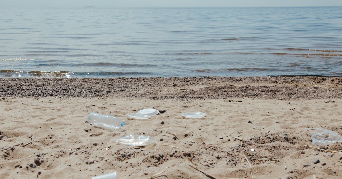 Préservation des océans : actions concrètes pour sauver notre planète