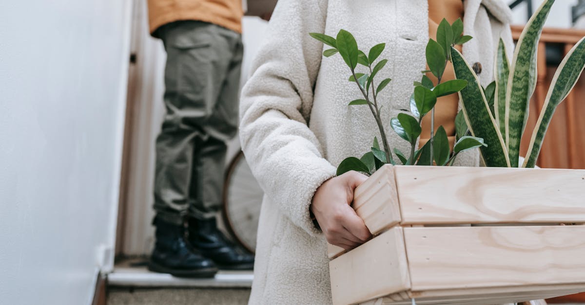 Partenariats durables : construire un avenir respectueux de l’environnement