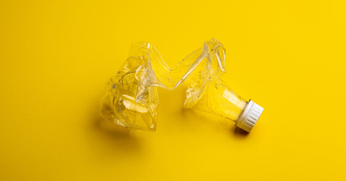 Incitation au recyclage : Comment encourager les comportements écoresponsables