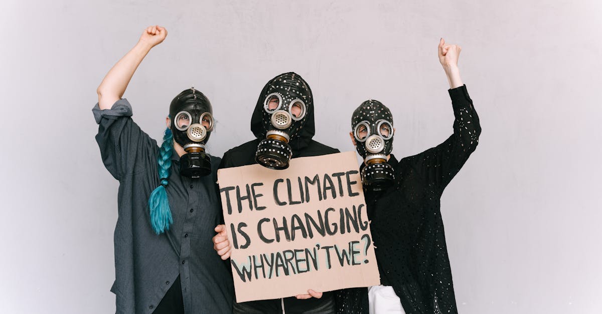 Politique environnementale : enjeux et stratégies pour un avenir durable