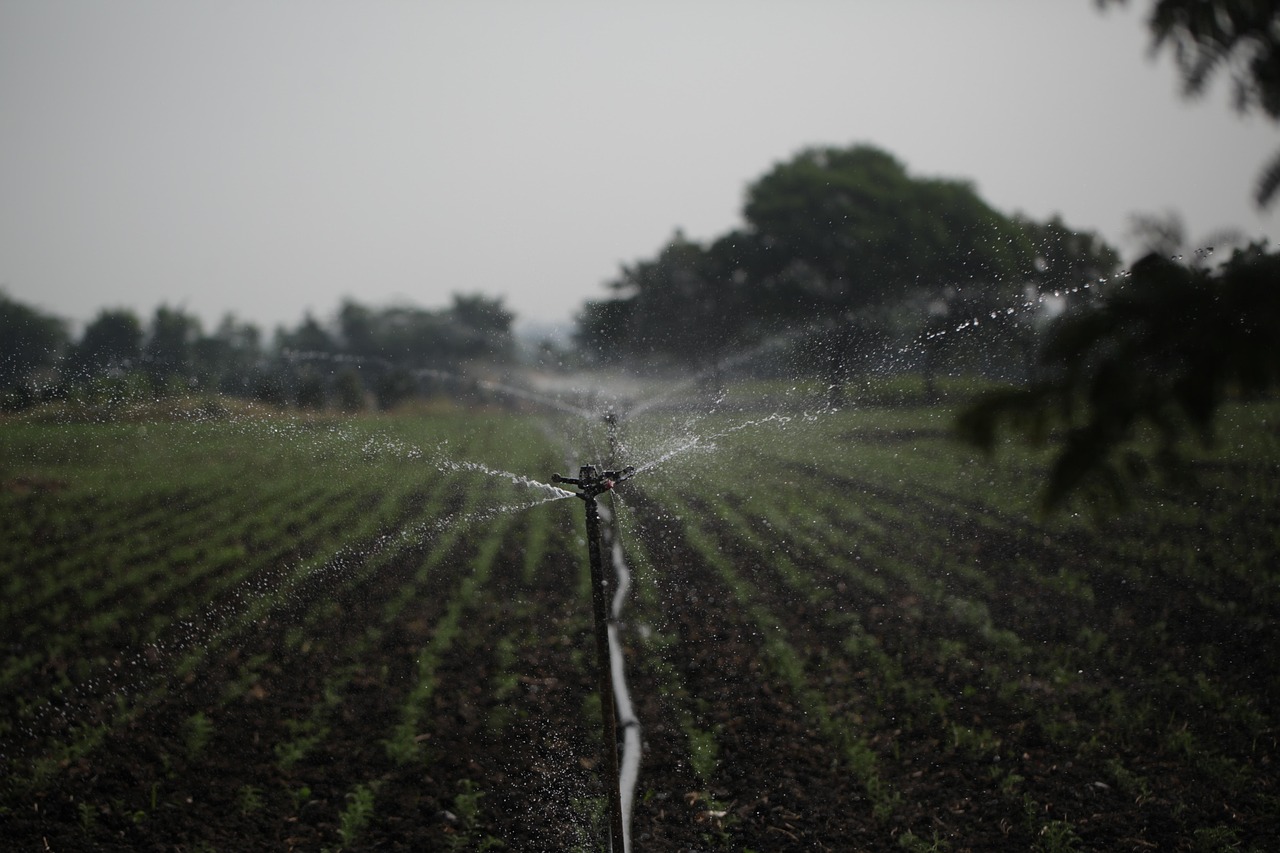 Économie d’eau dans la salle de bain : astuces et solutions pour réduire sa consommation au quotidien