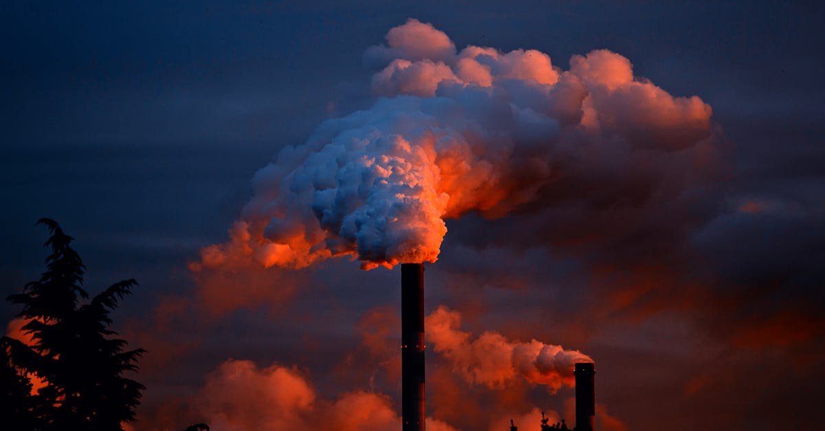 Pollution : Comprendre ses impacts sur la santé et l’environnement