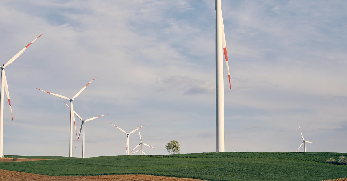Technologies vertes : comment elles transforment notre avenir durable