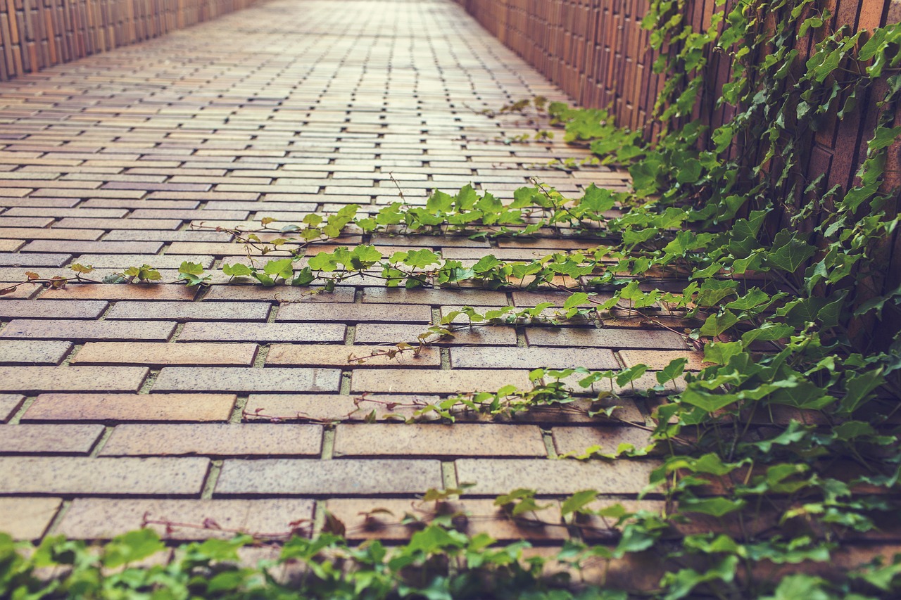 Dynamiser l’Industrie : Introduction du programme « TATWIR CROISSANCE VERTE » pour une relance éco-responsable
