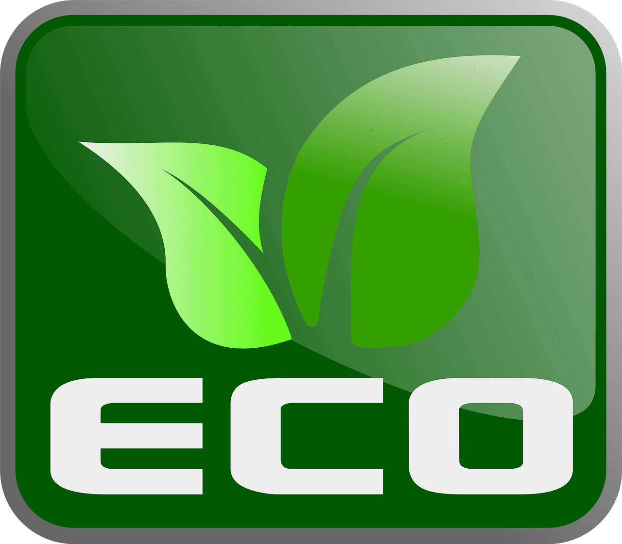Économie Verte : Les Dernières Nouvelles des Entreprises et du Secteur