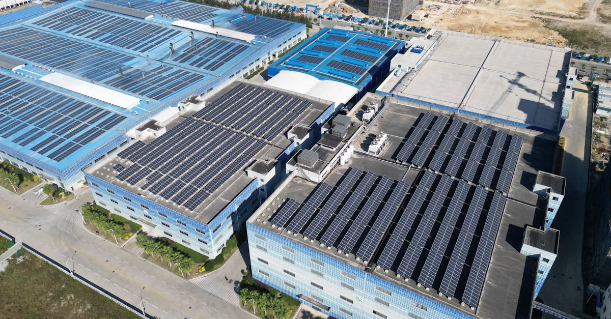 Stratégie nationale bas carbone : un plan d’action pour un avenir durable