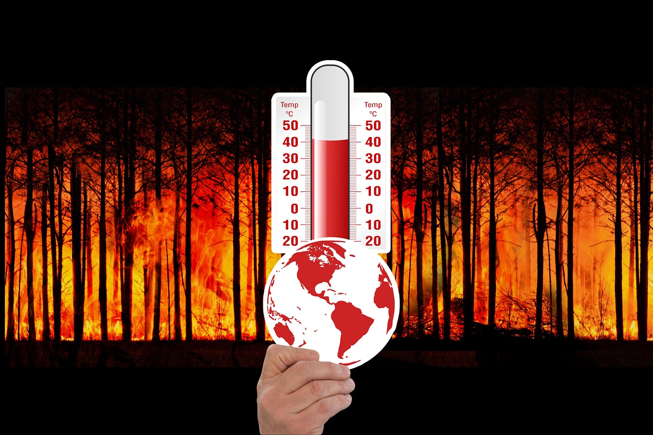 L’impact du changement climatique sur l’agriculture et son influence sur le bilan carbone