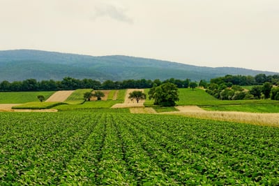 À l’épreuve des crises : construire l’avenir de l’agriculture ensemble