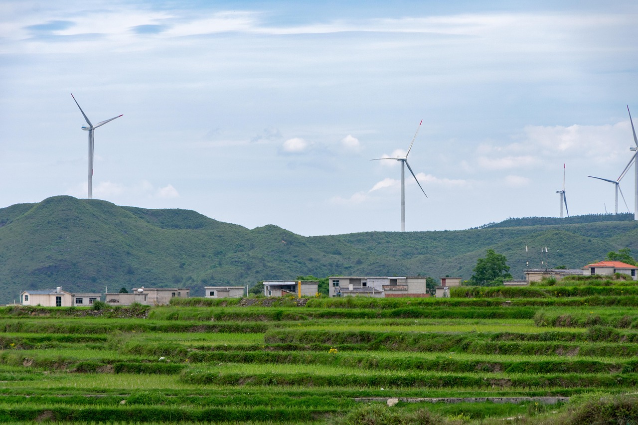 Des initiatives locales pour un développement durable réussi