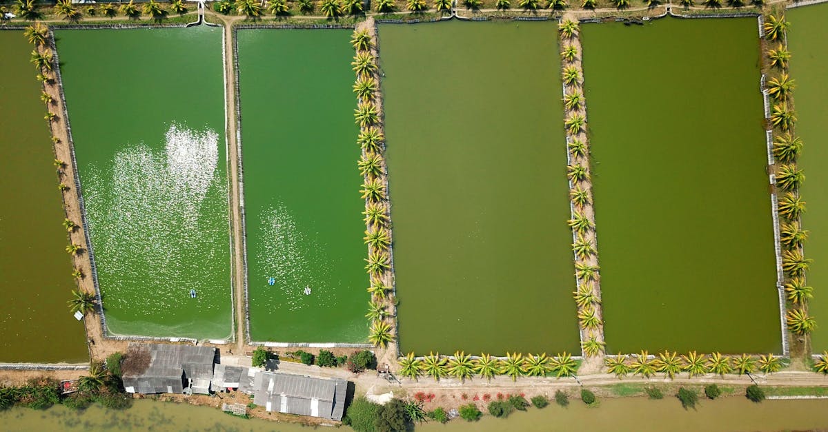 Gestion de l’eau : Stratégies durables pour préserver cette ressource précieuse
