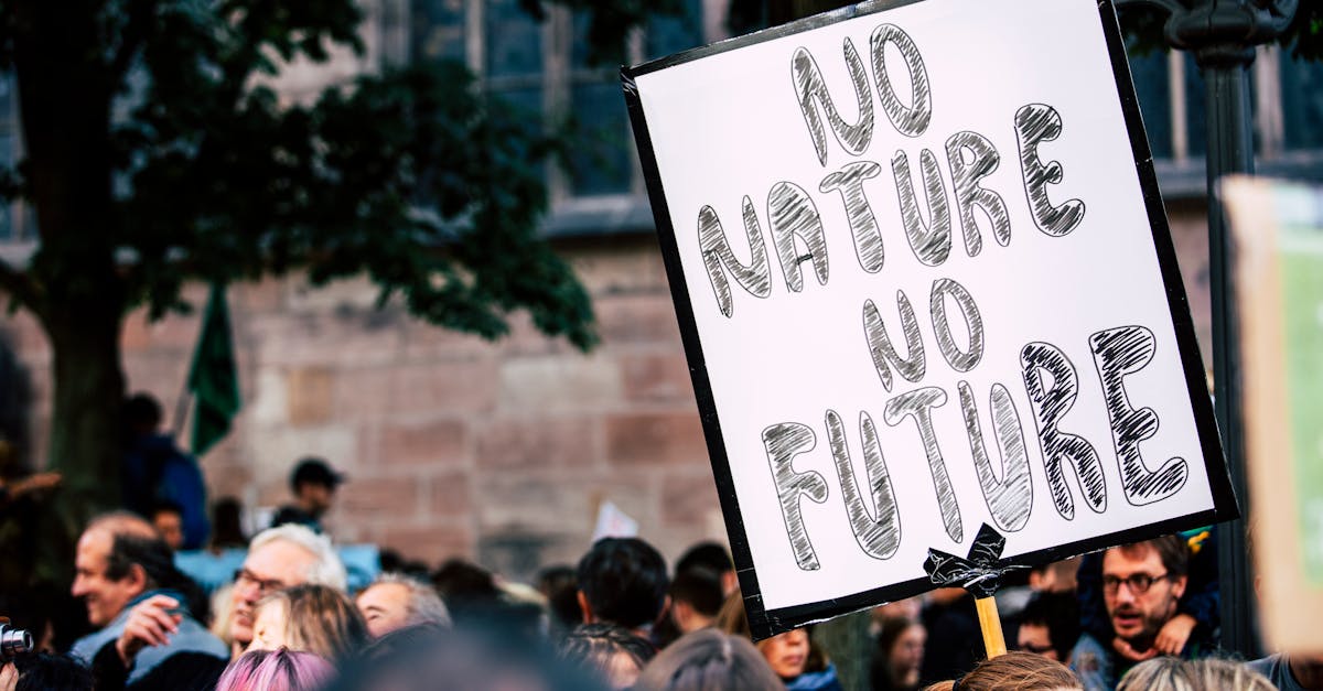 Mobilisation écologique : agir pour un avenir durable