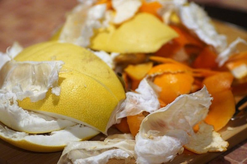 Compostage en appartement : Guide pratique pour transformer vos déchets alimentaires en or vert