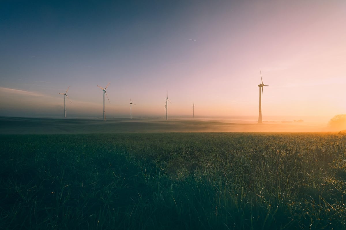 La loi sur la transition énergétique : un levier pour une croissance durable