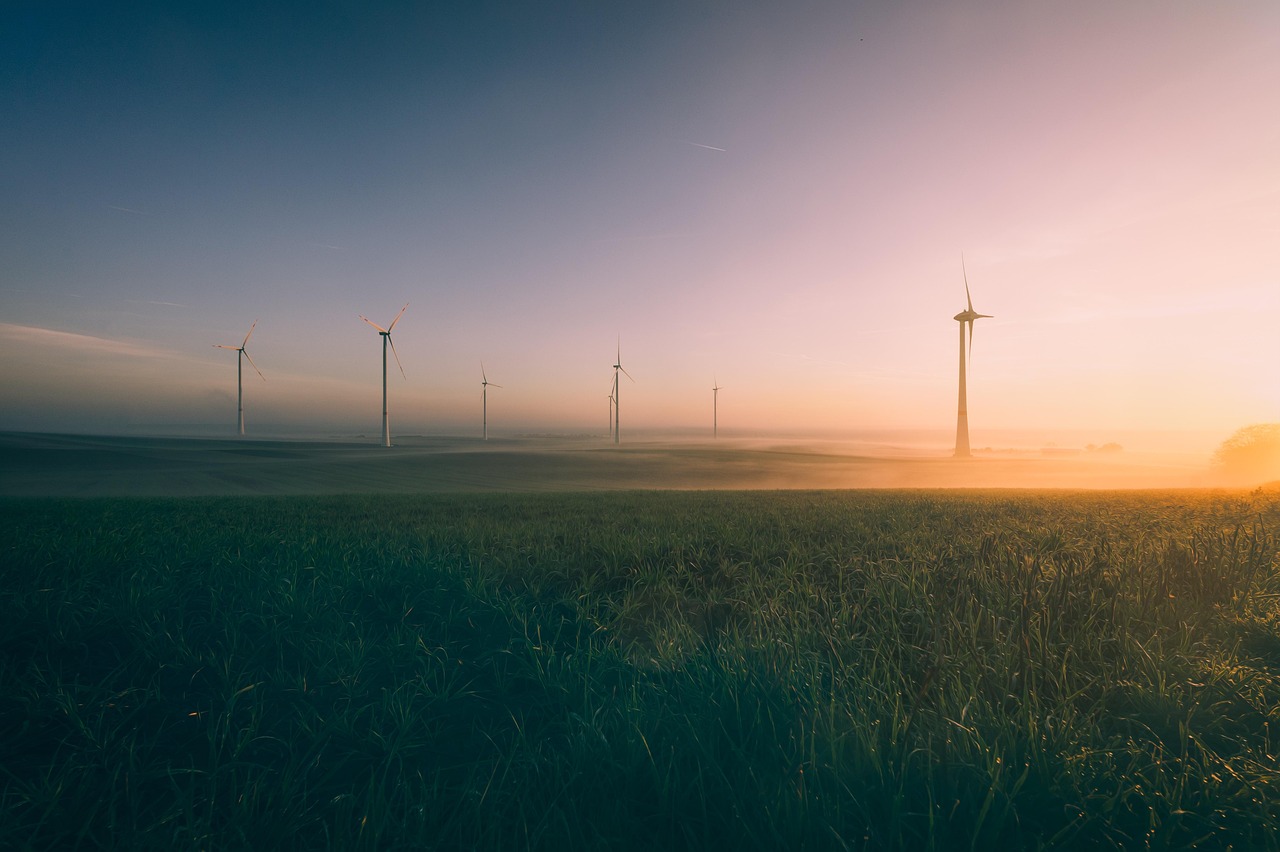 La loi sur la transition énergétique : un levier pour une croissance durable