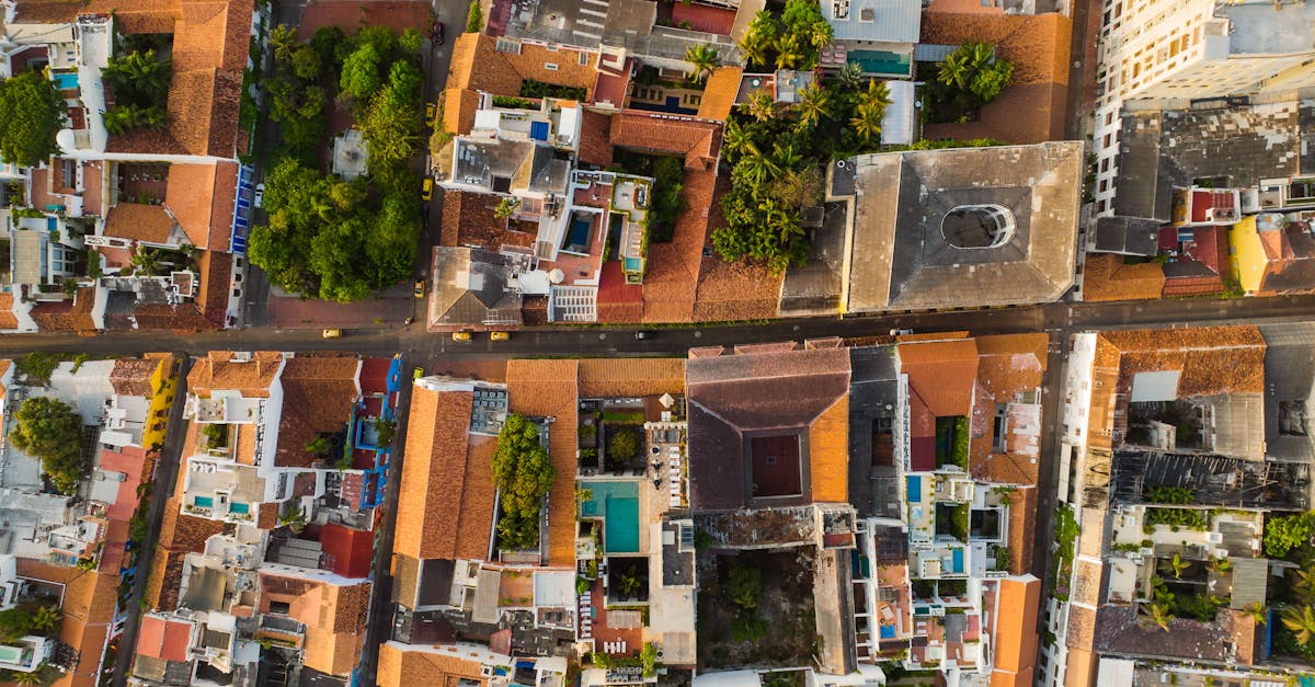 Urbanisme vert : enjeux et solutions pour des villes durables