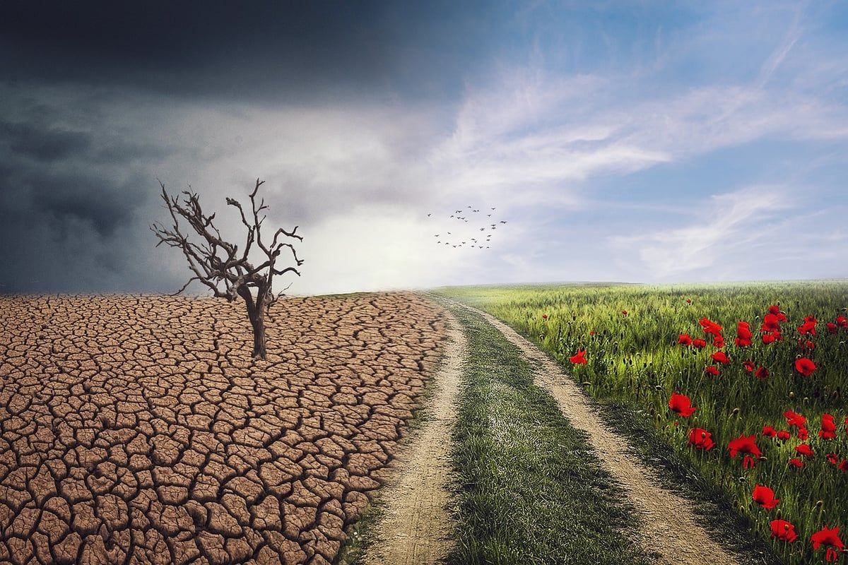 Changements climatiques : le rôle des milieux académiques dans l’évaluation du bilan carbone