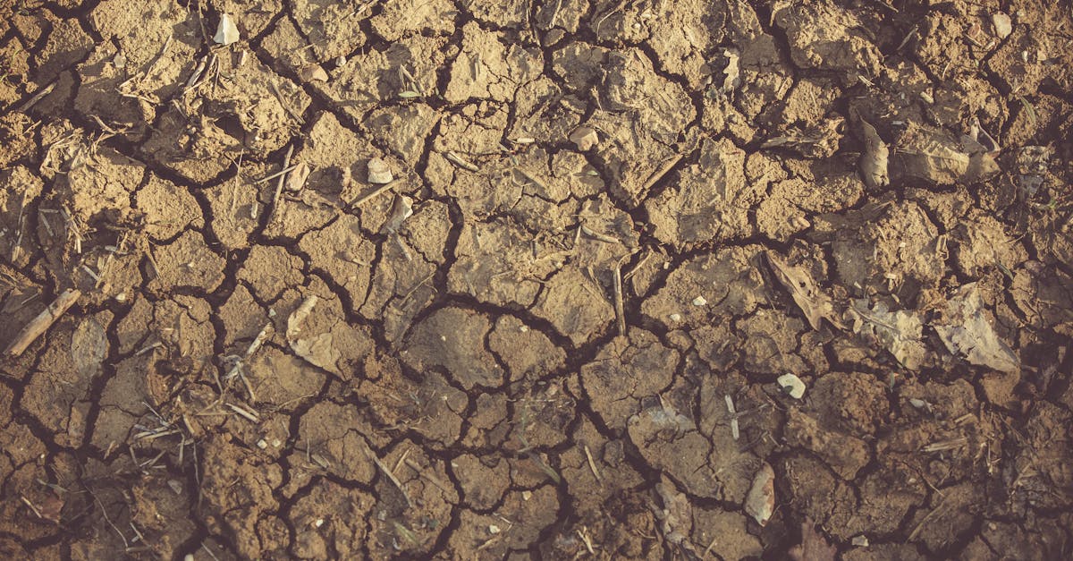 Impact climatique : Comprendre ses conséquences sur notre planète
