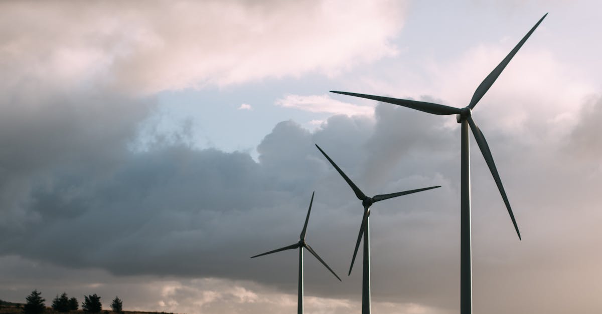Énergies renouvelables : comprendre leur impact sur l’environnement