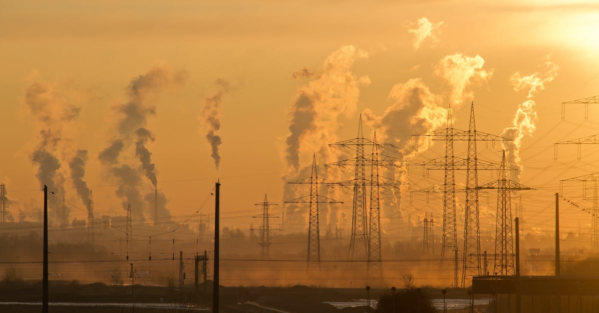 Réchauffement climatique : enjeux et solutions pour un avenir durable