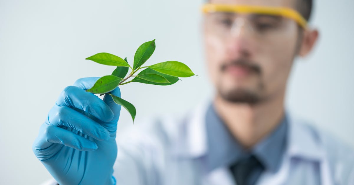 Stratégies de protection de l’environnement : Comment agir pour un avenir durable