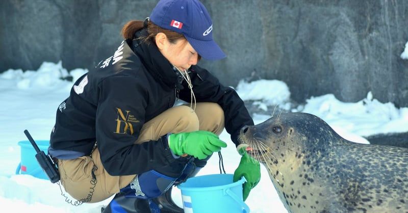 Gestion de la faune : stratégies efficaces pour préserver la biodiversité
